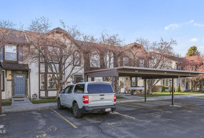 22-web-or-mls-DSC05034