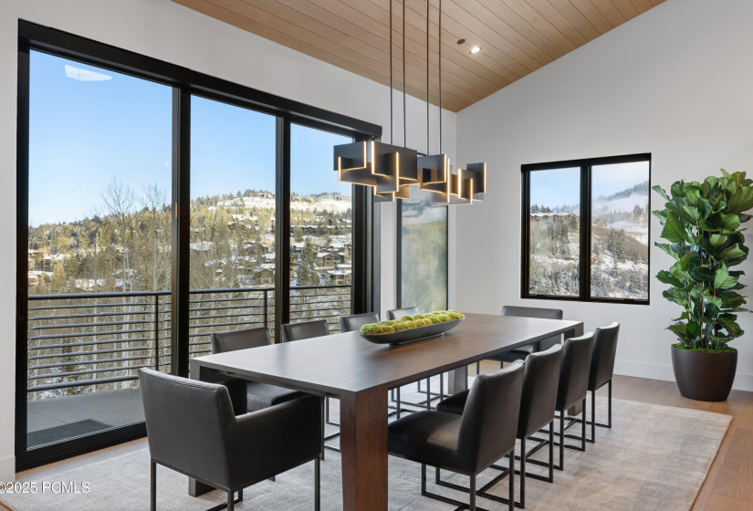 009_8939moonshadowct-8_358