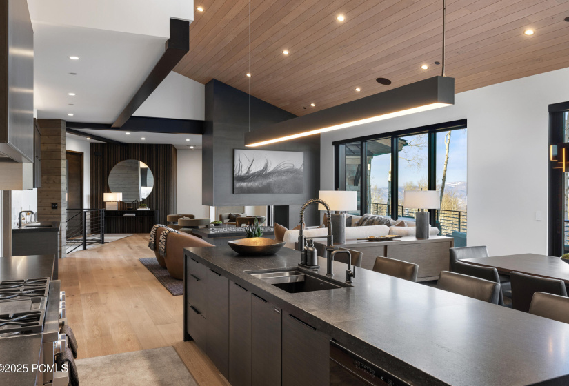 011_8939moonshadowct-10_40