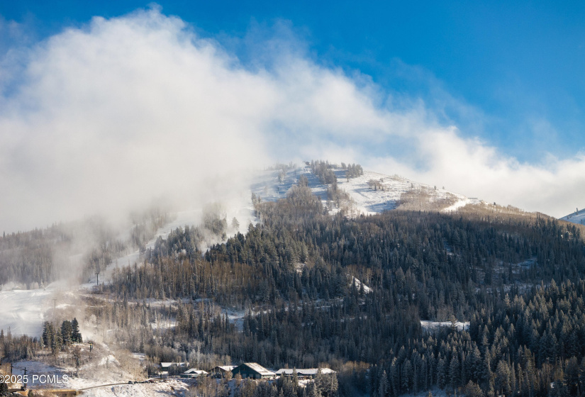 048_8939moonshadowct-48_942