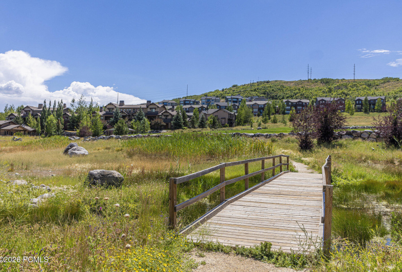 022_54-860wbenjamin-54_789_926