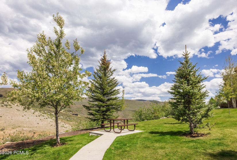 026_13386nalexisdr6_607