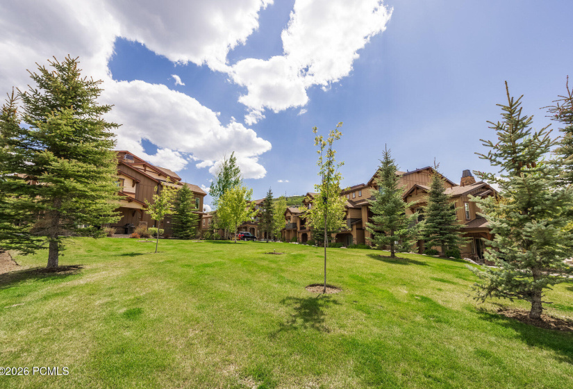 027_13386nalexisdr7_913