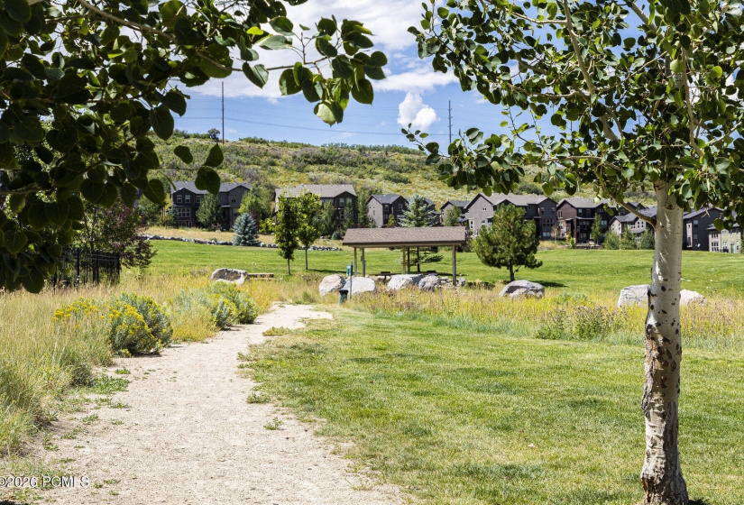 060_49-860wbenjamin-49_263_593