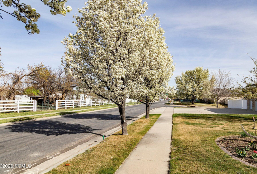 049_7737_south_5200_west-049_197