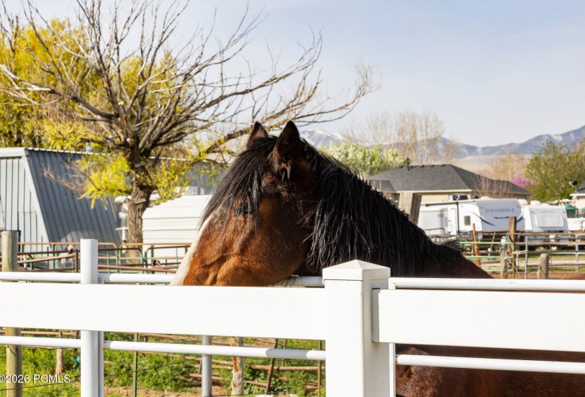 052_7737_south_5200_west-057_108