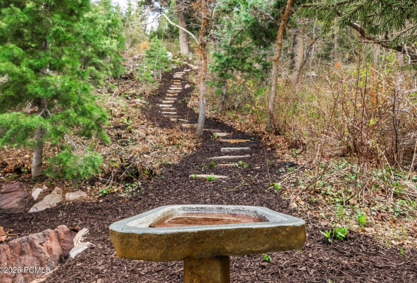 034_7457buckboarddr61_282