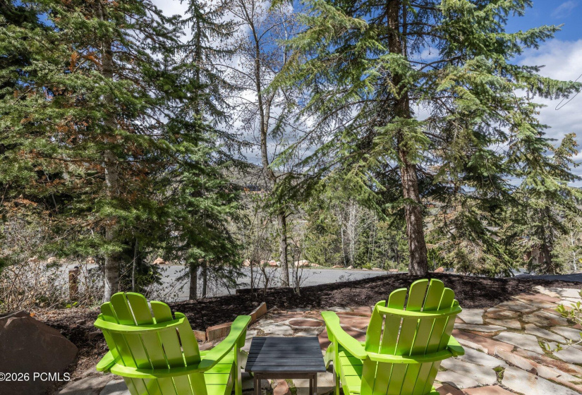 051_7457buckboarddr72_949