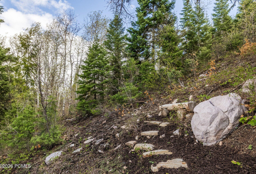 065_7457buckboarddr64_869