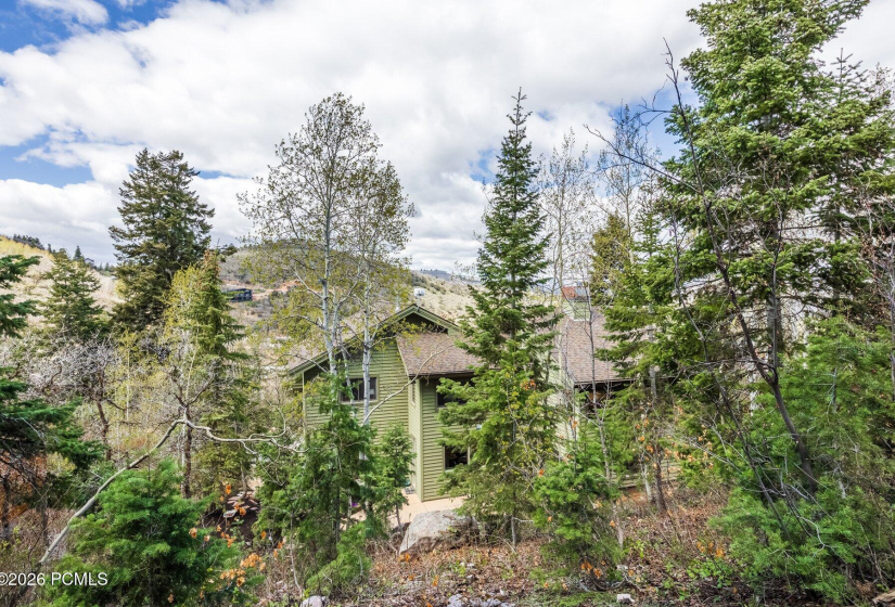 067_7457buckboarddr65_402