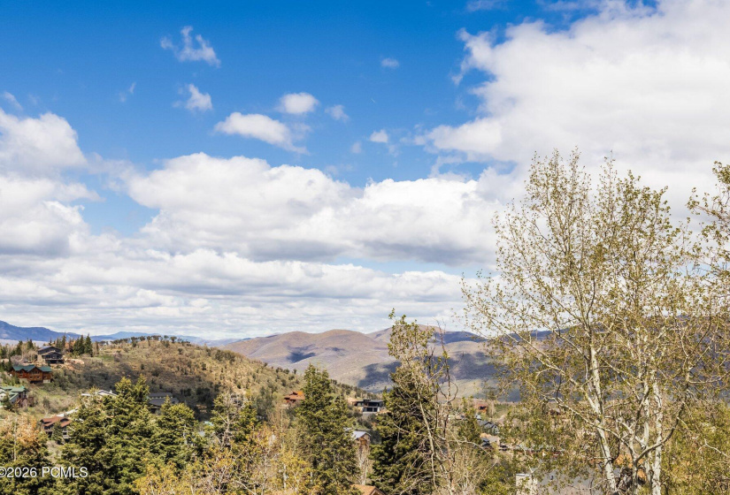 081_7457buckboarddr13_727