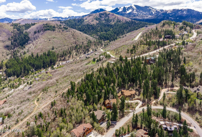 084_7457buckboarddr87_263