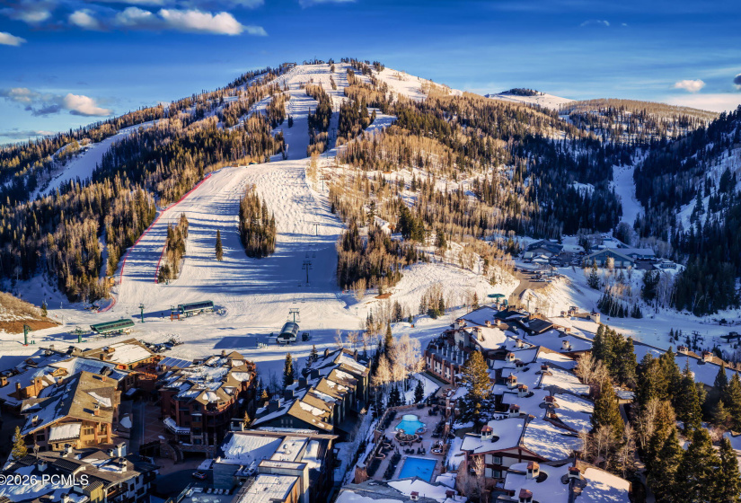 5-Summit Media_Stein