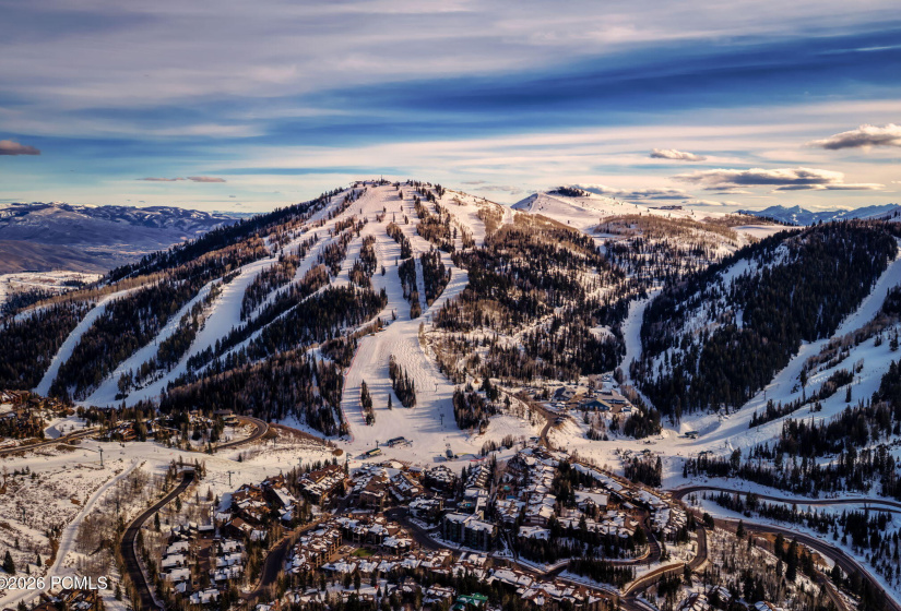 1-Summit Media_Stein