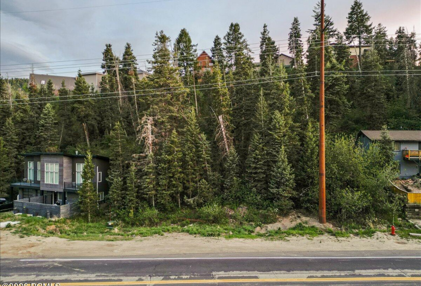 01-360 Aspen-