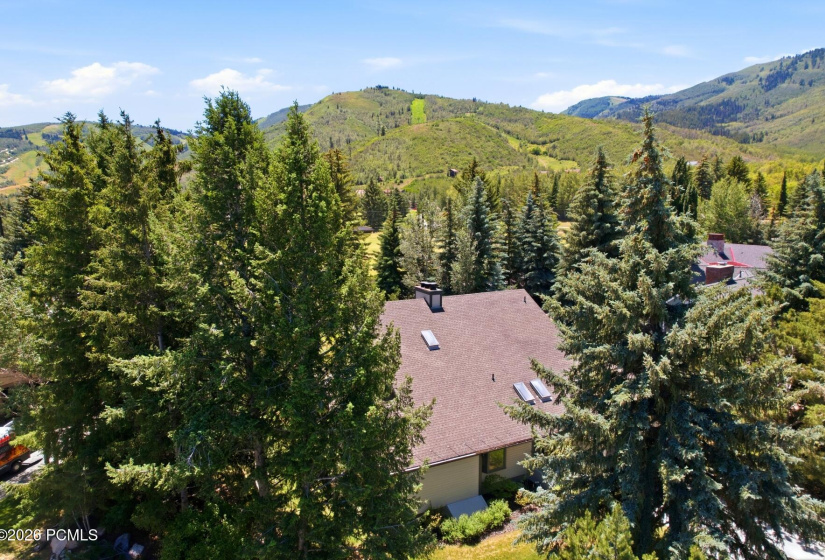 163 Webster Court, Park City, Utah 84060, 4 Bedroom Bedrooms, ,6 BathroomBathrooms,Residential,For Sale,Webster,12602981