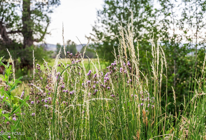 036_francisstock2614_308