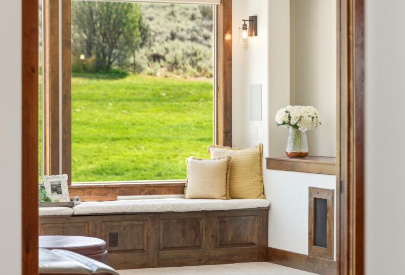 Living Room Window