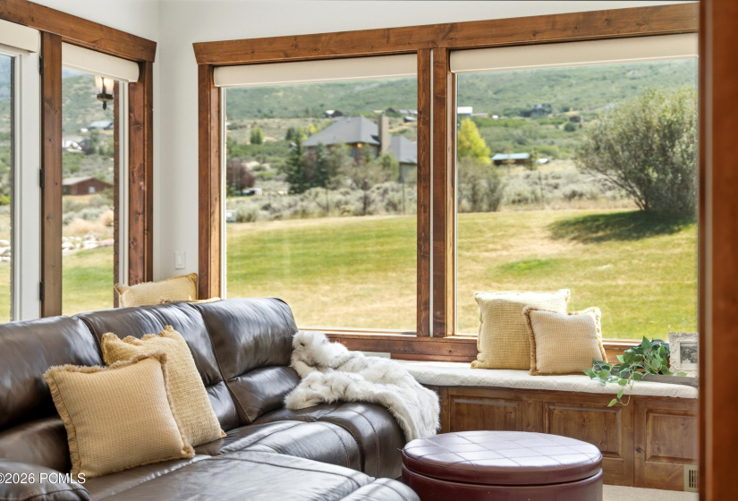 Living Room Window