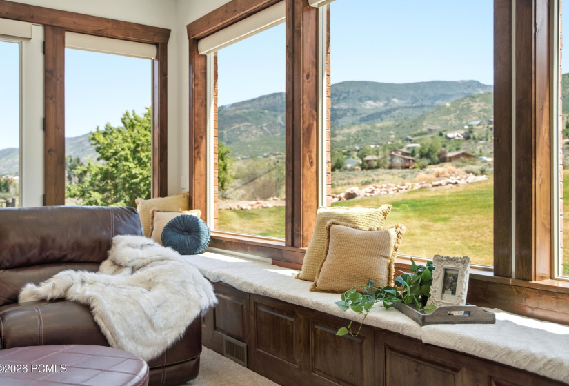 Living Room Window