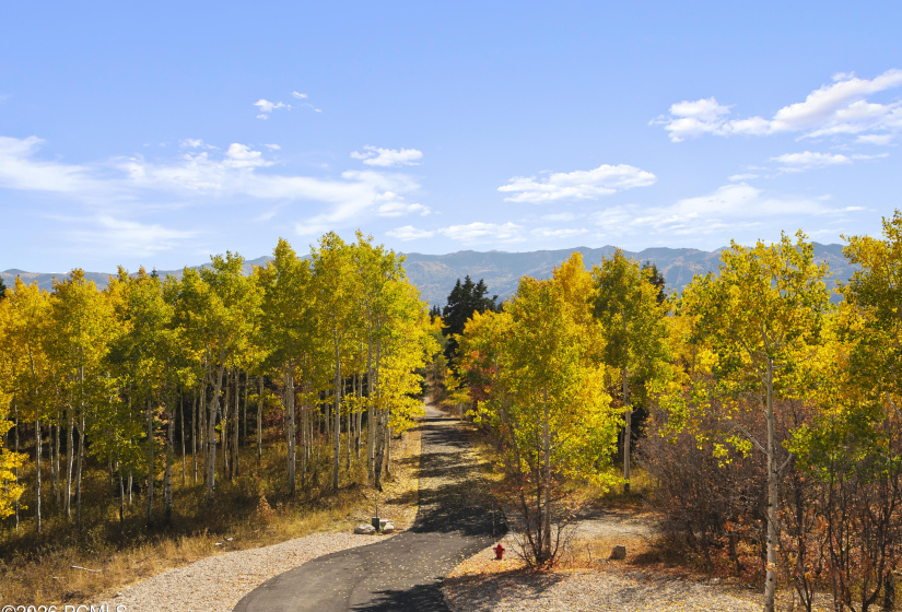 1000 Upper Cove Road, Park City, Utah 84098, 7 Bedroom Bedrooms, ,6 BathroomBathrooms,Residential,For Sale,Upper Cove,12602905
